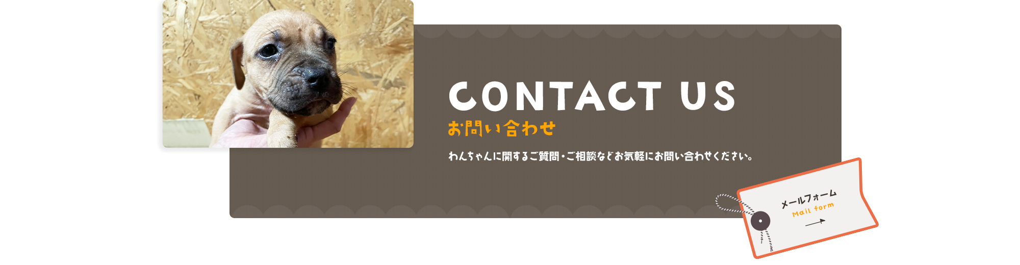 お問い合わせ